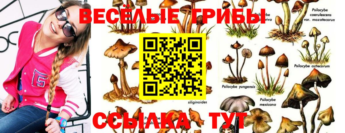 Псилоцибиновые грибы ЛСД Белебей