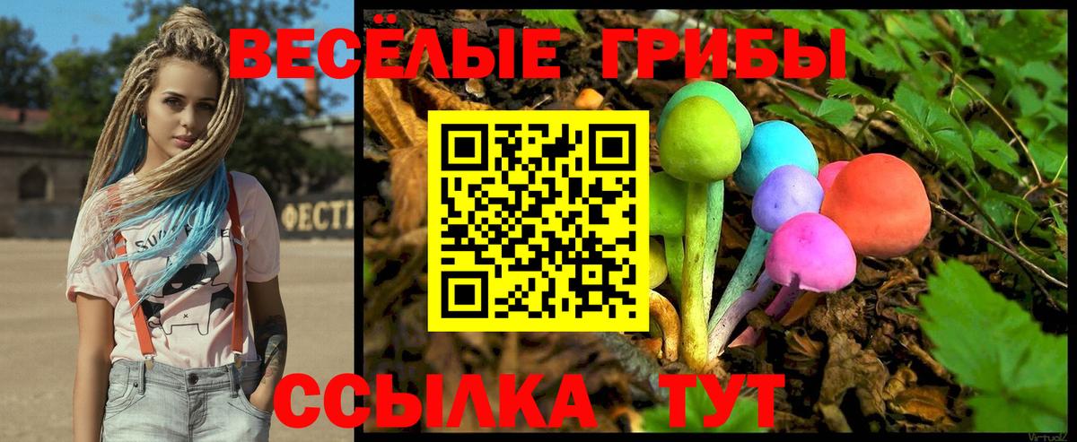 Белебей  Галлюциногенные грибы GOLDEN TEACHER  Вход с VPN 